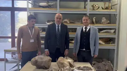 Iğdır'da 30 milyonluk dev gergedan bulundu!