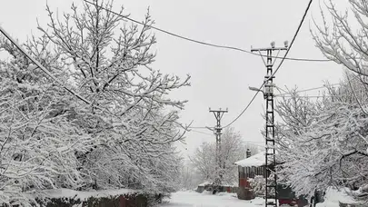 Bingöl Valiliği açıkladı, bazı yollar trafiğe kapatıldı!