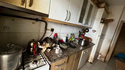 Kocaeli'de kötü koşullarda tutulan 55 hayvan kurtarıldı!