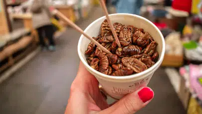 Neden böcek yemekten iğreniyoruz? İşte geleceğin gıdasındaki o büyük engel!