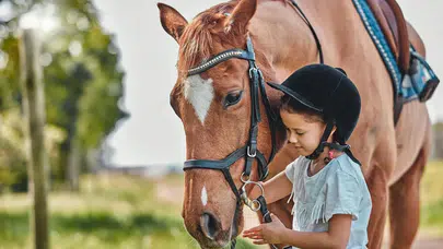 İnsan duygularını algılayan hayvan hangisidir? Kedi ve köpek değil!