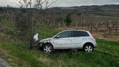 Denizli'de aynı yerde ikinci kaza: Araç üzüm bağına uçtu