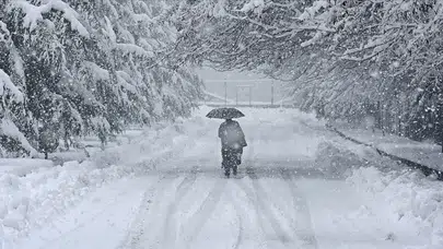 Japonya'da kar felaketi: 4 kişi öldü, 26 kişi yaralandı!