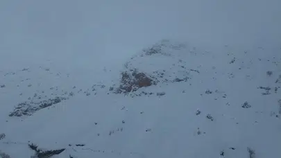 Batman'da çığ düştü: 45 hayvan telef oldu!