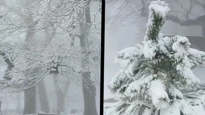 Aydın'da kar manzarası için yüksek kesimlere çıktılar