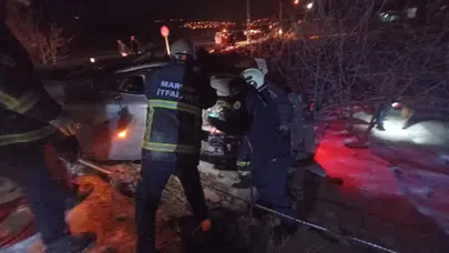 Mardin Artuklu'da otomobil, elektrik direğine çarptı: Sürücü yaralandı