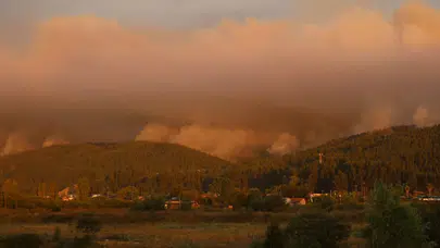 Şili'de orman yangınlarında 20 kişi hayatını kaybetti!