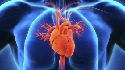 Avrupa’da her yıl 1,7 milyon kişi bu hastalıktan ölüyor! EMA’dan kardiyovasküler hastalıklar uyarısı