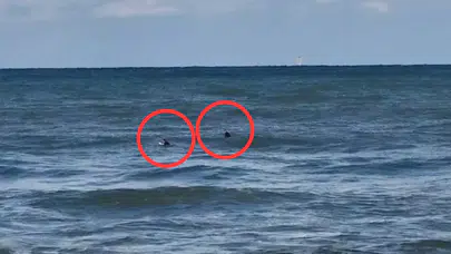 Akçakoca'da boğulma ihbarı verilen gençler sörfçü çıktı