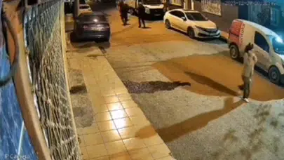 İzmir’de kadın cinayeti! Kayıp olarak aranan Mihriban Yılmaz ormanda gömülü halde bulundu