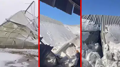 Mardin'de kar yağışı felaketi: Ahır çöktü, 10 koyun telef oldu