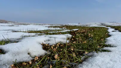 Güneydoğu'da kar yağışı çiftçinin yüzünü güldürdü