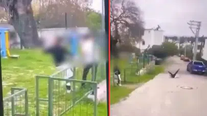 Bodrum'da parkta akran zorbalığı : Şiddete uğrayan çocuk bayıldı