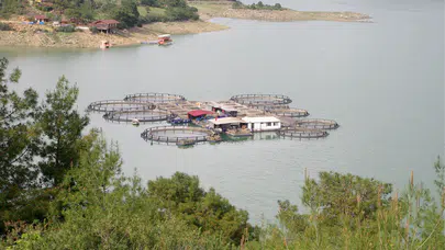 Adana Kozan Barajı’nda doluluk oranı arttı, çevre kirliliği görünür oldu