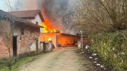 Bartın'da ahşap ev alev alev yandı