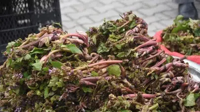 Askerlerin cesaret iksiri tezgaha indi : Sinop'un zılbıt mesaisi başladı