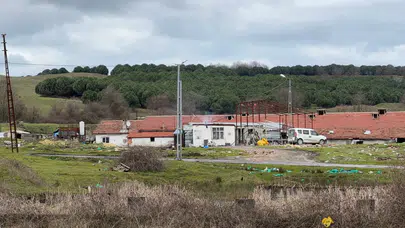 İstanbul Arnavutköy'de dehşet : Elektrikli testere ile saldırdı