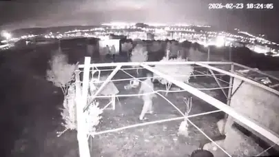 Osmaniye’de hobi bahçesine hırsız girdi : 25 güvercin çalındı