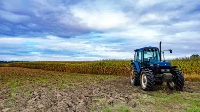 Tarım-GFE Aralık 2025’te yıllık yüzde 33,15 arttı