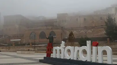 Mardin'de etkili olan sis hayatı durma noktasına getirdi