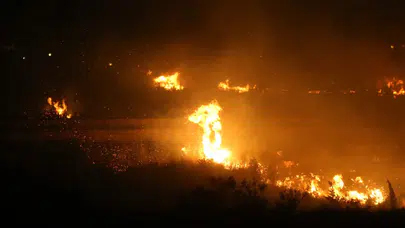 Hatay'da zeytinlikte çıkan yangın, ekipler tarafından kontrol altına alındı