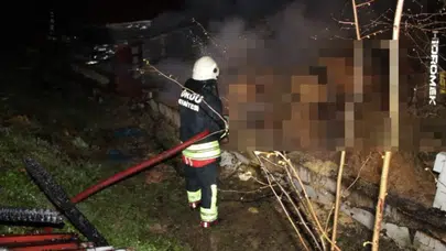 Ordu'da ahır yangınında 27 büyükbaş hayvan telef oldu