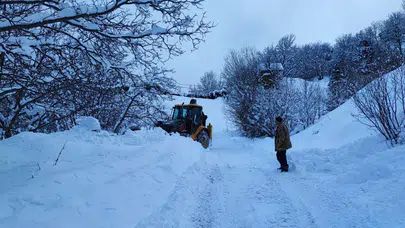 Artvin'de kar etkisi : 80 köy yolu ulaşıma kapandı