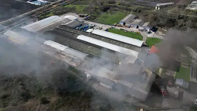 Sakarya'da şekerleme fabrikasında yangın