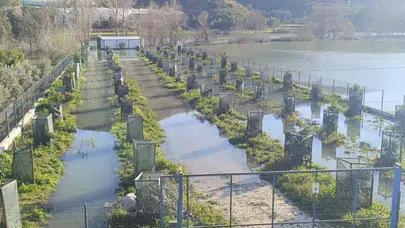 Manavgat Irmağı’nda taşkın : Antalya-Alanya otoyolu şantiyesi sular altında