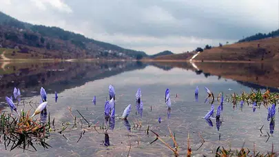 Baharı müjdeleyen ikinci cemre suya düştü