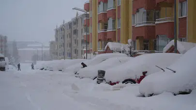 Erzurum'da kar etkisi : Bin 167 köy yolu kapandı