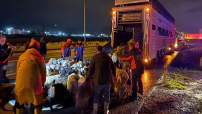Kayseri'de Karasu Deresi taştı : 200 hayvan tahliye edildi