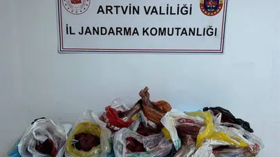 Artvin Kemalpaşa'da 60 kilo yaban domuzu eti ele geçirildi