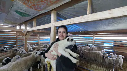 Şehir hayatından sıkılıp hayvancılığa başladı