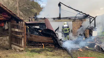 Karabük'te müştemilat yangını : 2 yavru köpek telef oldu