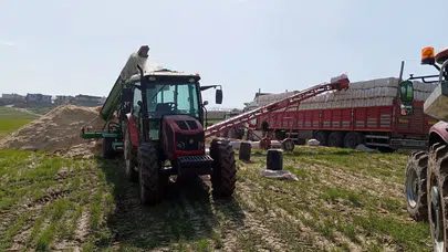 Siirt'te bir işçi kazara kendini silahla vurdu