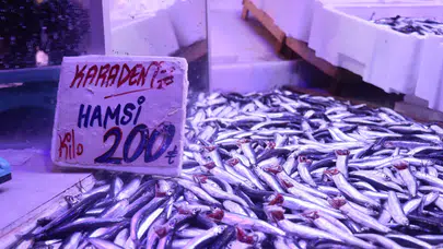Havalar soğudu, balık tezgahları hamsiyle doldu