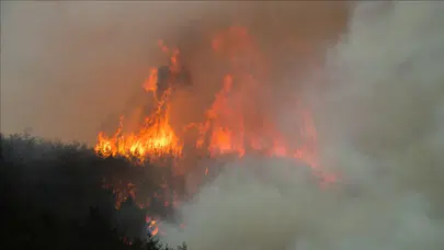 Güney Kore'de yangın : 3 gündür söndürülemiyor