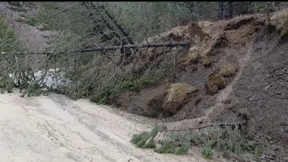 Amasya'da ormanlık alanda heyelan : Ağaçlar yola devrildi