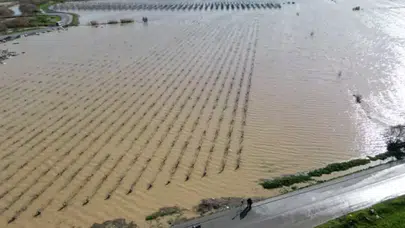 Nif Çayı taştı : Gediz Ovası ve üzüm bağları su altında kaldı