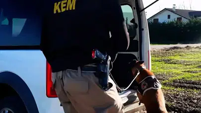 Bolu'da 11 adrese uyuşturucu operasyonu : 15 şüpheli gözaltına alındı