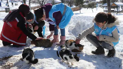 Siirt'te çocuklara yönelik akran zorbalığına karşı projeler geliştirilecek