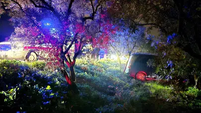 Bursa'da direksiyon hakimiyetini kaybeden sürücü zeytinliğe daldı