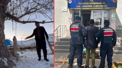 Kayseri'de köpeğini ağaca asarak öldüren şahıs gözaltına alındı