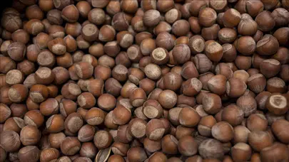 Fındık fiyatları bugün ne kadar oldu? İl il güncel fiyatlar nedir?