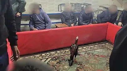 Siirt'te horoz dövüşü : 60 kişi suçüstü yakalandı