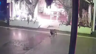 Kocaeli'de bir kafeyi kundaklayan 2 şüpheli Pendik'te yakalandı