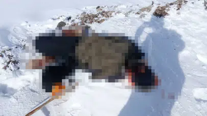 Van'ın Başkale ilçesinde İran sınırı yakınlarında erkek cesedi bulundu