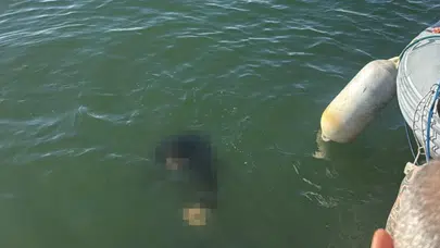 İzmir'de akülü tekerlekli sandalyesiyle denize düşen kişi hayatını kaybetti