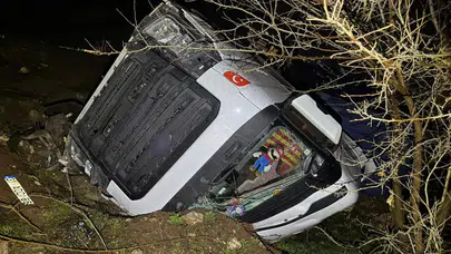 Adıyaman'da kaza : Tır şarampole devrildi, sürücü yaralandı